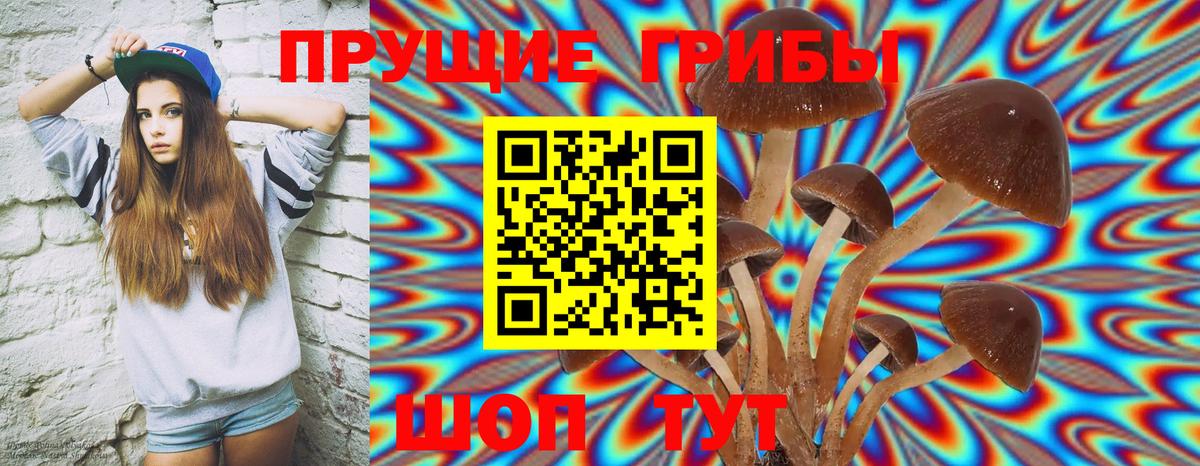 Электрогорск  Псилоцибиновые грибы Cubensis  Псилоцибиновые грибы Cubensis  Вход с VPN 